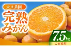 みかん 7.5kg 詰合せ 長崎県産 /柑橘 みかん 蜜柑/大村市 大又農園 [ACZO007]