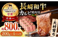 大村育ち 長崎和牛 カルビ焼肉セット 800g  / 牛肉 カルビ 焼肉 BBQ / 大村市 / おおむら夢ファームシュシュ [ACAA479]