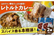 山のウエノ豚カレー（レトルトカレー）200g×2袋 大村市 /カレー 豚肉 ポーク 簡単調理/ 株式会社上野養豚 [ACBH005]