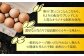 【笑顔が広がる幸せ卵】平戸平飼い放牧卵「itadaki」4パック 24個入り【ナチュラルエッグラボ】 