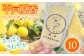 【さっぱり・さわやか】平戸夏香のアイスキャンデー 10本詰合せ 平戸市 