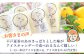 【さっぱり・さわやか】平戸夏香のアイスキャンデー 10本詰合せ 平戸市 