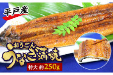 【季節限定】【日本初！海水で養殖】特大おうごんうなぎ蒲焼き 約250g [KAB095]