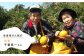 【季節限定】【上質な香り・味わいを楽しむ】Hirado Fruit ＆ Vegetables jelly 3種セット 