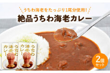 【出汁も身もうちわ海老！！】絶品 うちわ海老カレー（2食セット） [KAA205]カレー レトルト スパイス ご当地カレー 通販 お取り寄せ グルメ 簡単調理 保存食