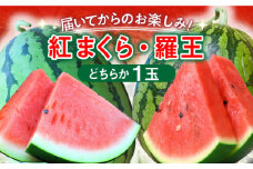 【8/18まで発送】【夏の贅沢！あま～い スイカ 】平戸産 スイカ  1玉（Lサイズ・6～7kg） [KAB118] 西瓜 スイカ すいか 今が旬 羅皇 紅まくら