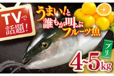 【着日指定 可能】【まるごと一本！誰もがウマい！と叫ぶフルーツ魚】ブリ 平戸なつ香 丸々1匹 （約4〜5kg）【坂野水産】 [KAA003]
