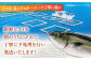 【まるごと一本！誰もがウマい！と叫ぶフルーツ魚】ブリ 平戸なつ香 約4〜5kg【坂野水産】 