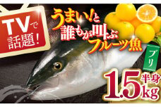 【着日指定 可能】【一度食べるとやみつきに！誰もがウマいと叫ぶフルーツ魚】ブリ（半身） 平戸なつ香 約1.5kg【坂野水産】 [KAA004]