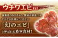 【甘くてプリプリ♪一度は食べてほしい！】漁師直送！ 活き！ 平戸の「うちわえび」 1.3kg 平戸市 /  ひばり 
