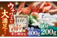 【旨味と甘みを心ゆくまでお楽しみください♪】 ウチワエビ しゃぶしゃぶ A（刺身・半身セット） 平戸市 / ひばり 