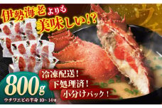【甘くてプリプリ♪一度は食べてほしい！】漁師直送！ 希少！平戸の「うちわえび」 半身セット 約800g(10～14切) ウチワエビ 海老 エビ【ひばり】[KAA062]ウチワエビ 海老 エビ 魚介類 海鮮 グルメ 通販 お取り寄せ ギフト プレゼント 長崎