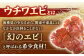 漁師直送！ 希少！平戸の「うちわえび」 半身セット 約800g(10～14切) ウチワエビ 海老 エビ【ひばり】