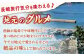 漁師直送！ 希少！平戸の「うちわえび」 半身セット 約800g(10～14切) ウチワエビ 海老 エビ【ひばり】