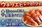 漁師直送！ 希少！平戸の「うちわえび」 半身セット 約800g(10～14切) ウチワエビ 海老 エビ【ひばり】