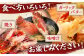 漁師直送！ 希少！平戸の「うちわえび」 半身セット 約800g(10～14切) ウチワエビ 海老 エビ【ひばり】