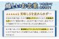 漁師直送！ 希少！平戸の「うちわえび」 半身セット 約800g(10～14切) ウチワエビ 海老 エビ【ひばり】