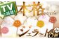 【特別な日には特別なものを】生乳 ジェラート 8個（4フレーバー×2個） 平戸市 / 心優 −Cotoyu Sweets− 