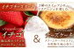 【特別な日には特別なものを】生乳 ジェラート 8個（4フレーバー×2個） 平戸市 / 心優 −Cotoyu Sweets− 
