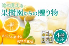 【着日指定 可能】【自家栽培の柑橘のみを使用】海の見える果樹園からの贈り物 4種セット 平戸市 / 善果園 [KAA126]