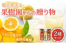 【着日指定 可能】【自家栽培の柑橘のみを使用】海の見える果樹園からの贈り物 2種セット 平戸市 / 善果園 [KAA127] 