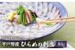 【上質な脂と上品な旨味】平戸特産 ひらめの刺盛 約80g 平戸市 / 平戸さくら水産  