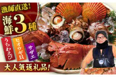 【時間指定 可能】【平戸フィーバーの火付け役】 平戸 瀬戸物語 平戸市/平戸さくら水産  [KAA155]