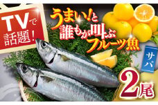 【着日指定 可能】【平戸生まれのブランド魚】平戸なつ香 サバ 約500g×2尾 平戸市 / 坂野水産  [KAA201]