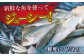 【食卓を笑顔に】平戸の海の幸「ごはんのお供」5種セット 平戸市 / 末弘丸  