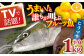 【一度食べるとやみつきに！最高のお魚をご用意しました】ヒラマサ（半身） 平戸なつ香 ヒラス 約1kg 平戸市 / 坂野水産 