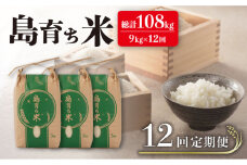【全12回定期便】島育ち 米 定期便 総計108kg（9kg×12回） 平戸市 / 平戸瀬戸市場協同組合 [KAA211]