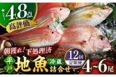 【全12回定期便】朝獲れ！平戸 地魚 詰合せ 定期便 平戸市 / 平戸瀬戸市場協同組合 [KAA216]