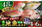 朝獲れ！平戸 地魚 詰合せ 定期便 平戸市 / 平戸瀬戸市場協同組合 