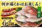 朝獲れ！平戸 地魚 詰合せ 定期便 平戸市 / 平戸瀬戸市場協同組合 