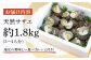 【平戸産を活きたまま】天然活サザエ 約1.8kg