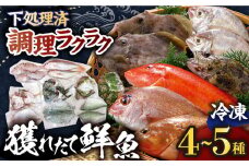 【平戸市場直送】旬の獲れたて鮮魚（冷凍）＜4〜5種類＞ 【ひらど新鮮市場】 [KAB007]