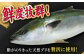 【平戸の漁師町から】天然ブリの漬け丼セット 約380g（95g×4袋）  