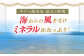 【潮風で育った新鮮米】平戸の棚田米（無洗米）約5kg  