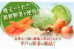 【本場の味をご家庭で】平戸海鮮ちゃんぽん 2食分 平戸市 / 
