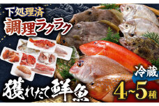 【着日指定 可能】【平戸市場直送】旬の獲れたて鮮魚 (冷蔵 / 4〜5種)  【ひらど新鮮市場】[KAB030]刺身 セット 通販 お取り寄せ 新鮮 海鮮盛り合わせ ギフト 贈り物 海鮮丼 手巻き寿司 詰め合わせ 人気 おすすめ　