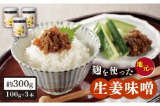 【着日指定 可能】【長崎県認定】麹を使った地元の生姜味噌 約300g（100g×3本）【ひらど新鮮市場】 [KAB036]