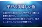 【平戸自慢】豪華干物 6種詰合せ＆天然塩わかめセット 平戸市 / 一山水産 
