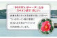 【平戸産ヤブツバキ100%使用】純正ツバキオイル「ヒラドボニータ」1本（60cc/瓶）【平戸ファーム】 