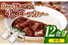 【着日指定 可能】【40年の試行錯誤の結晶】平戸ビーフカレー12食セット(中辛)【カレー工房 NVfoods】[KAB076]カレー レトルト スパイス ご当地カレー 通販 お取り寄せ グルメ 簡単調理 保存食