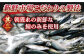 【朝獲れ真鯖】しめさばセット（昆布〆入）約400g(100g×4) 【ひらど新鮮市場】 
