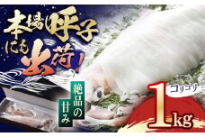 【着日指定 可能】【美味しさそのまま瞬間冷凍】平戸極鮮ヤリイカ 約1kg 平戸市 / 海隆丸 [KAB108]平戸極鮮ヤリイカ 瞬間冷凍 500g 通販 お取り寄せ 刺身 新鮮 イカ料理  長崎