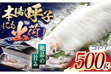 【着日指定 可能】【美味しさそのまま瞬間冷凍】平戸極鮮ヤリイカ 約500g 平戸市 / 海隆丸 [KAB109] 平戸極鮮ヤリイカ 瞬間冷凍 500g 通販 お取り寄せ 刺身 新鮮 イカ料理  長崎 ササイカ やりいか