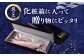 【美味しさそのまま瞬間冷凍】平戸極鮮ヤリイカ 約500g 平戸市 / 海隆丸 