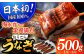 長崎県産おうごんうなぎ 約500g（1尾〜4尾）平戸市 / 松永水産 うなぎ 鰻 ウナギ 土用丑の日 九州産