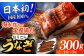 長崎県産おうごんうなぎ 約300g（1尾〜3尾） 平戸市 / 松永水産 うなぎ 鰻 ウナギ 土用丑の日 九州産 